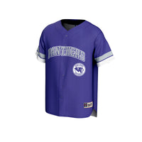 High Point Panthers Baseball Jersey - Purple