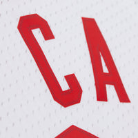 New Jersey Nets Swingman Jersey Vince Carter