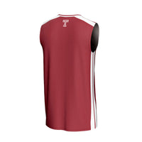 Temple Owls Basketball Jersey - Red