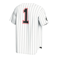 Northeastern Huskies Lightweight Collegiate Baseball Fashion Jersey - White